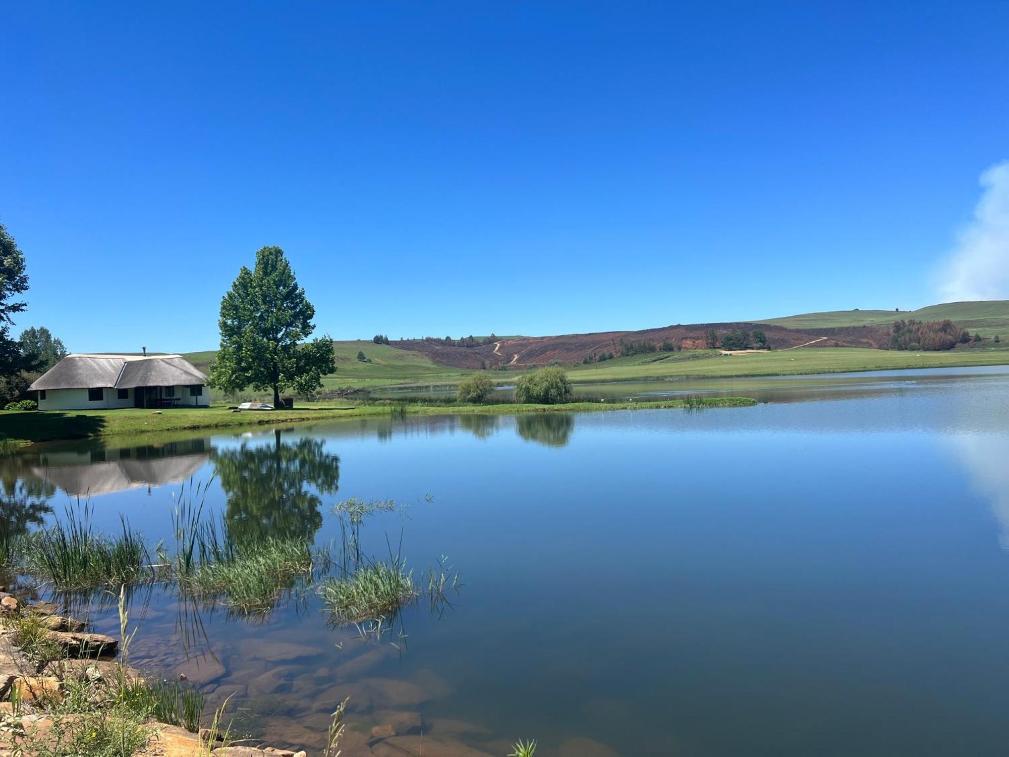 Dieu Donne Cottage Underberg Dış mekan fotoğraf
