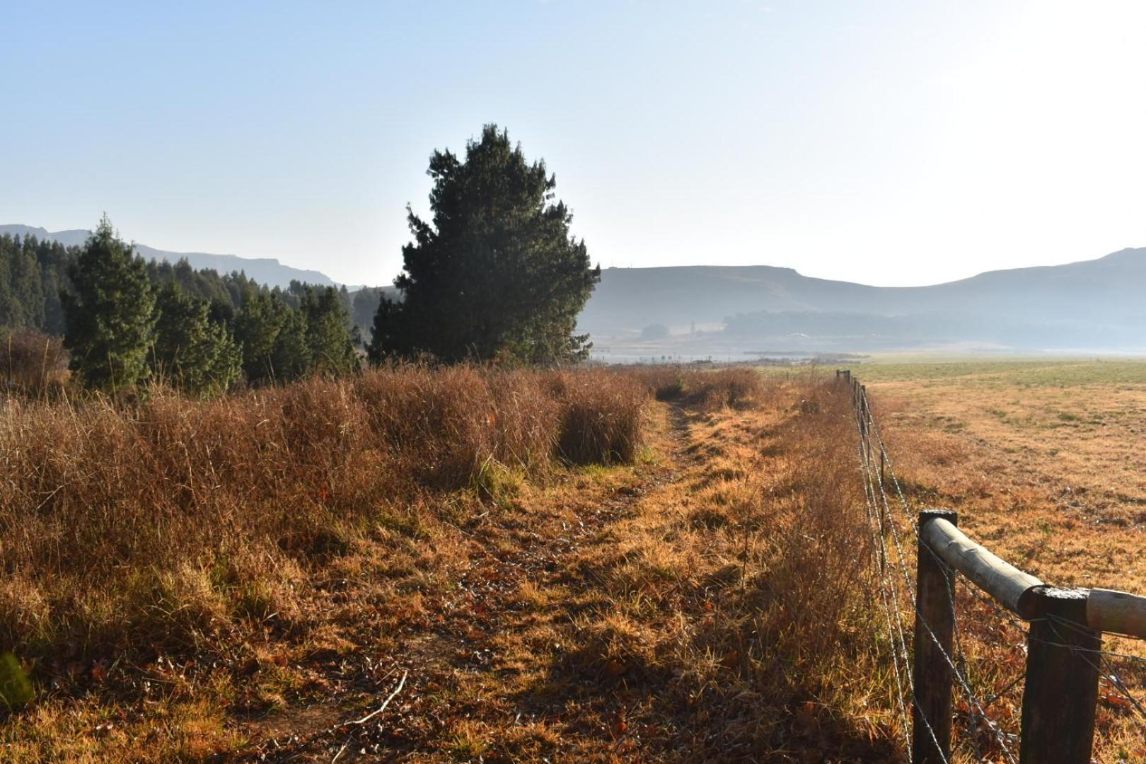 Dieu Donne Cottage Underberg Dış mekan fotoğraf