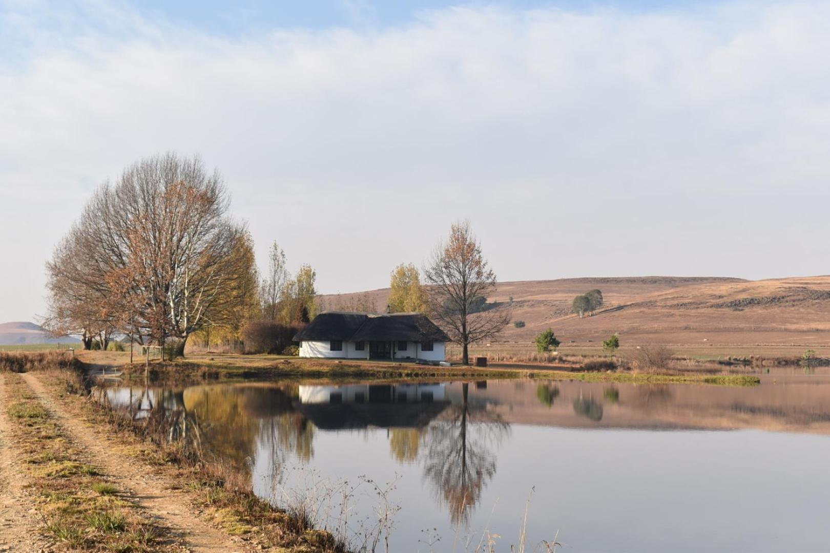 Dieu Donne Cottage Underberg Dış mekan fotoğraf