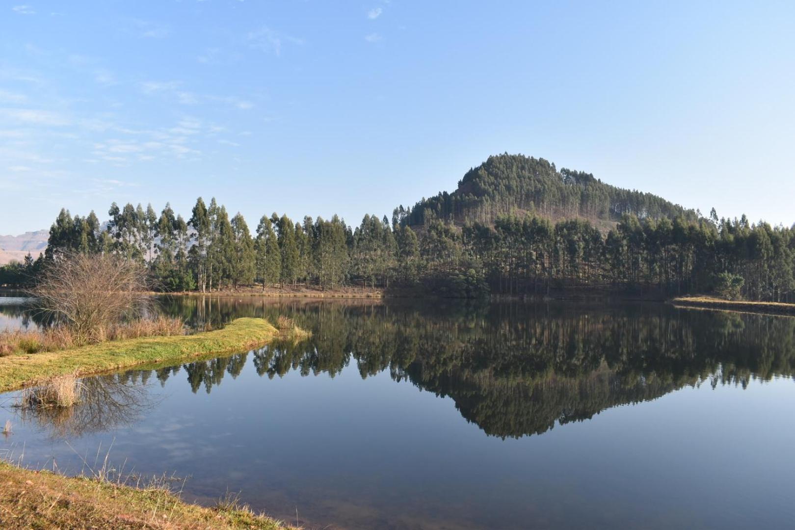Dieu Donne Cottage Underberg Dış mekan fotoğraf